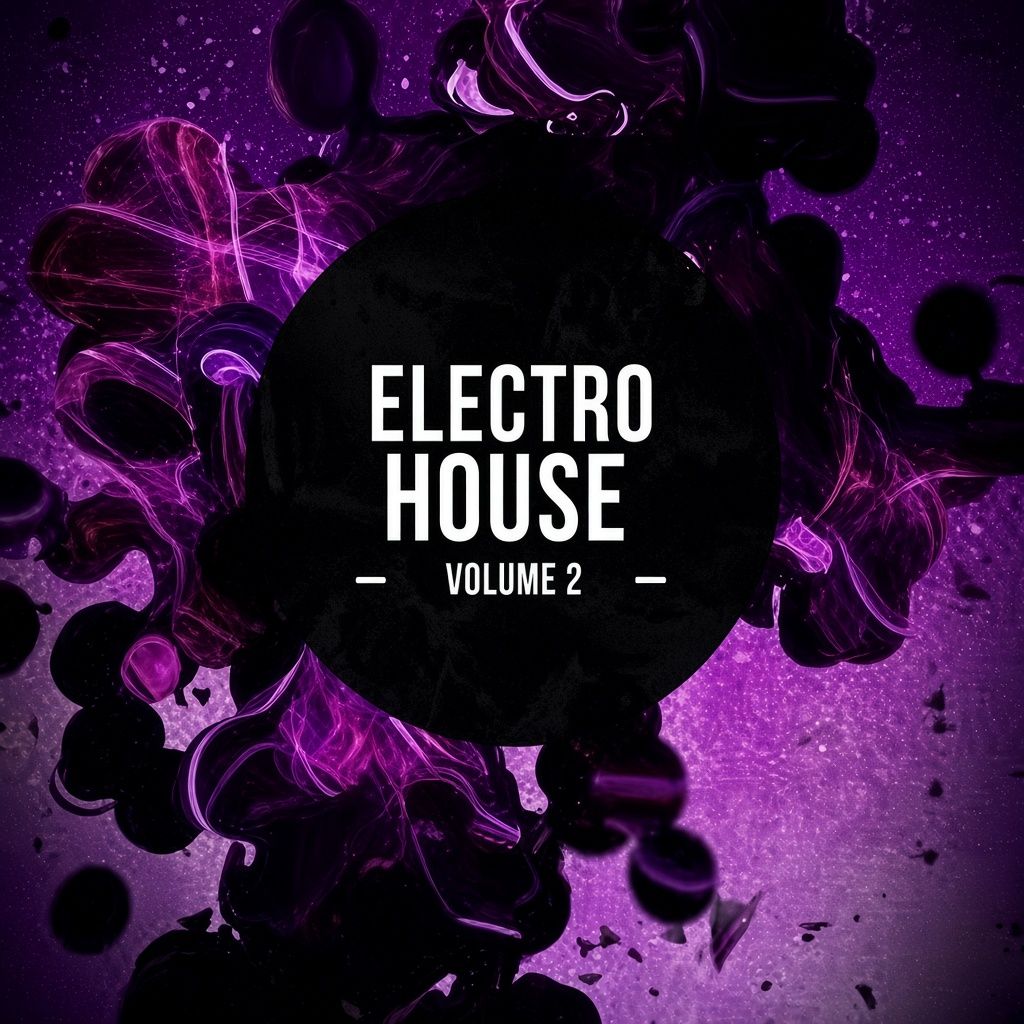8DM Electro House Vol.2 [DVD]