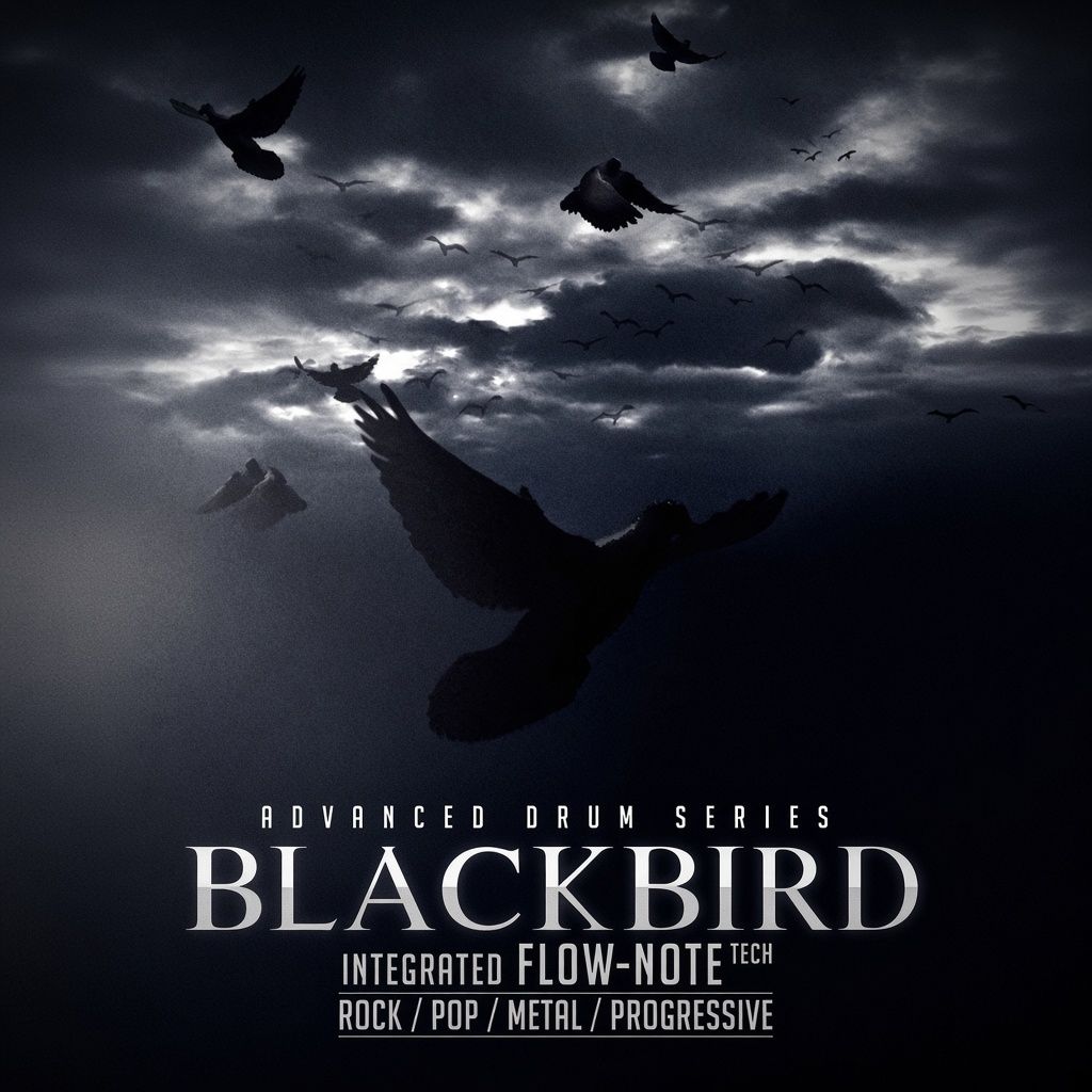 Advanced Drum Series Blackbird
