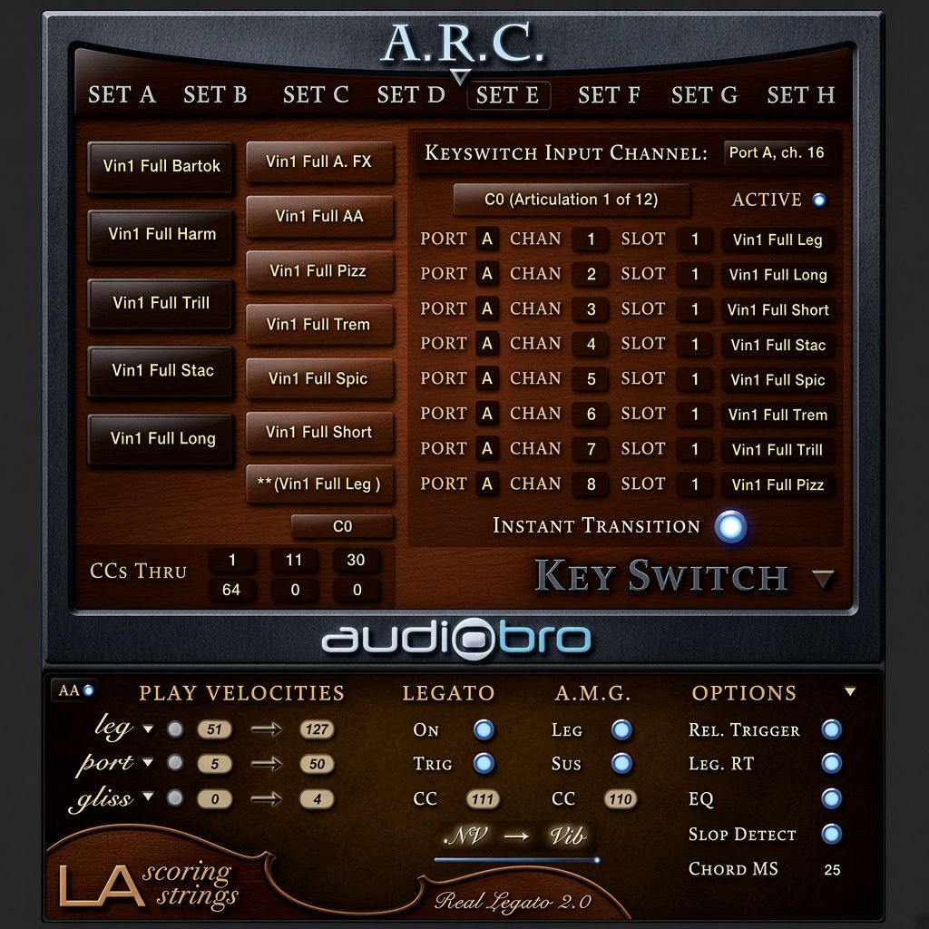 Audiobro LA Scoring Strings 2.0 (LASS)