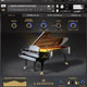 Bechstein Digital C Bechstein Digital Grand