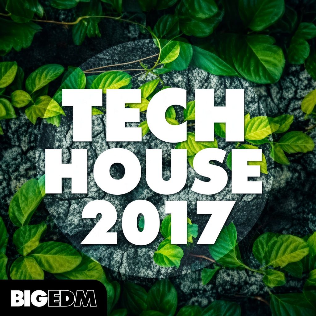 Big EDM Tech House 2017 Big EDM Tech House 2017