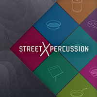 Big Fish Audio Street Percussion