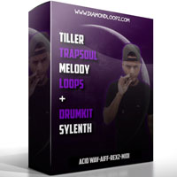 Diamond Loopz Trapsoul Melody Loops