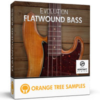 Evolution Flatwound Bass