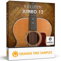 Evolution Jumbo 12