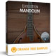 Evolution Mandolin