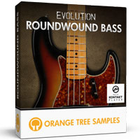 Evolution Roundwound Bass