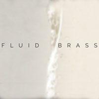 Fluid Brass Cinematic Brass Shorts Fluid Brass Cinematic Brass Shorts