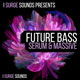 Future Bass For NI Massive