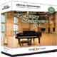 Galaxy Steinway 5.1 [3 DVD]