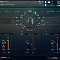 Heavyocity Mosaic Keys