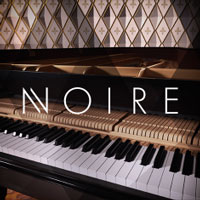 Native Instruments Noire