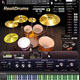 Realitone RealiDrums v1.0