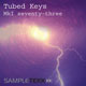 SampleTekk Tubed Keys Mk I Seventy-Three