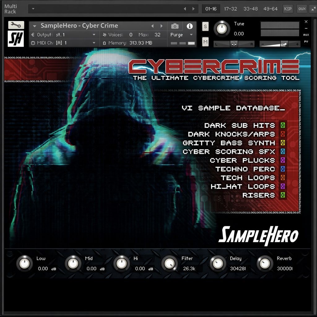 SampleHero Cyber Crime