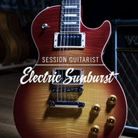 Session Guitarist Electric Sunburst