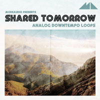 Shared Tomorrow Analog Downtempo Loops