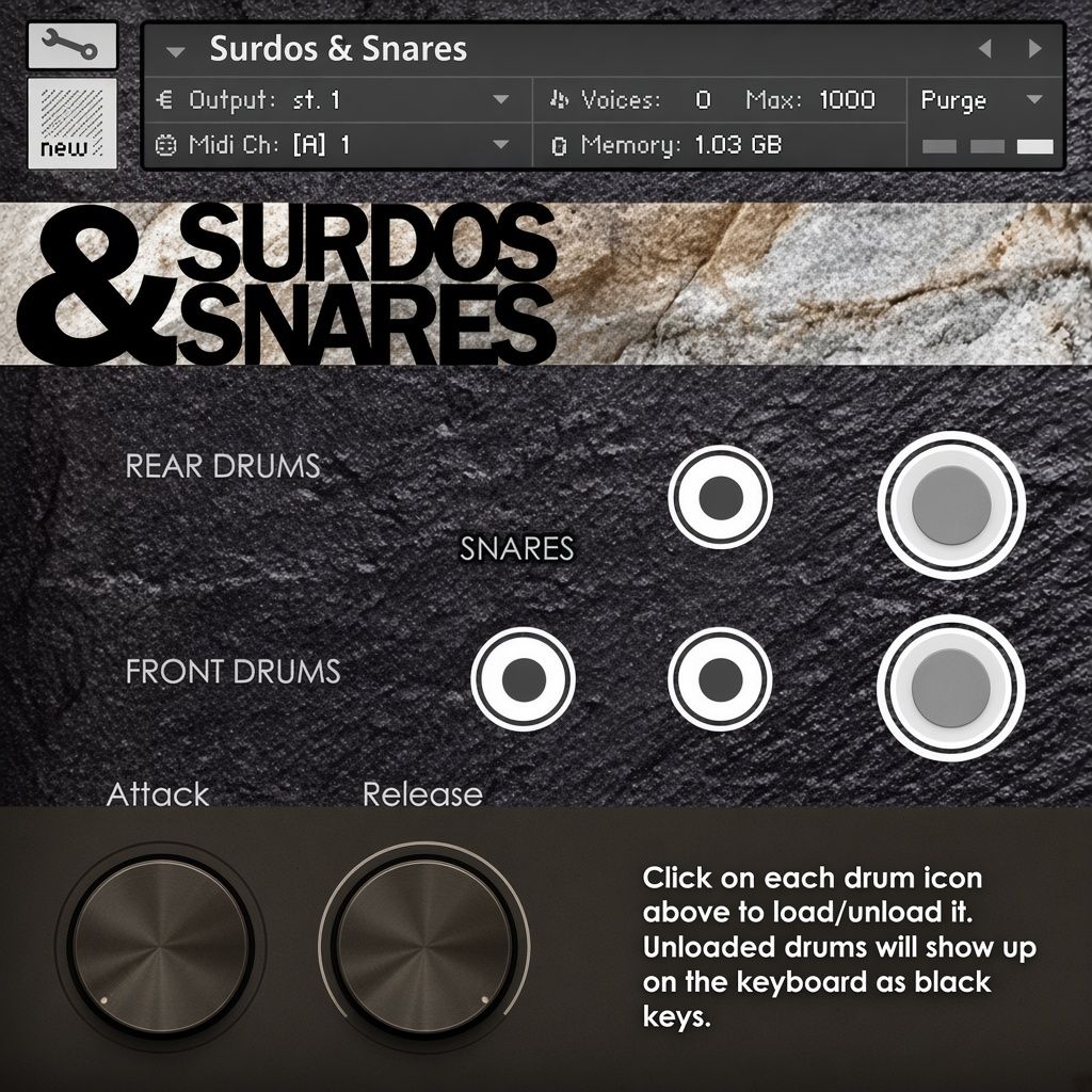 Surdos and Snares [DVD]