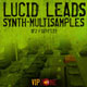 VipZone Multisamples Lucid Dreamer Leads