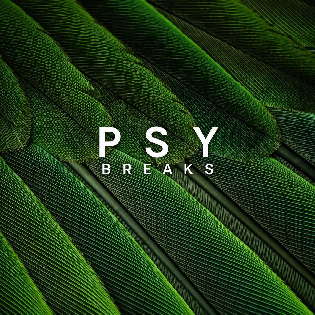 Zenhiser Psy Breaks