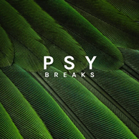 Zenhiser Psy Breaks