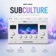 Baby Audio SubCulture