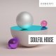 Concept Samples Soulful House