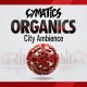 Cymatics Organics City Ambience