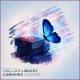 Laniakea Sounds Chillout Library