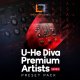 Mercurial Tones Premium Artist Diva Preset Pack