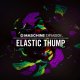 NI Maschine Expansion - Elastic Thump