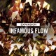 Native Instruments Expansion - Infamous Flow