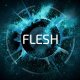 Native Instruments Flesh