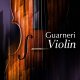 Native Instruments Guarneri Violin v1.2