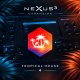 Nexus 3 Expansion Tropical House 4