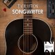 Orange Tree Samples Evolution Songwriter
