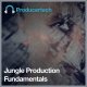 Producertech Jungle Production Fundamentals