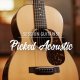 Session Guitarist Picked Acoustic