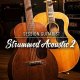 Session Guitarist Strummed Acoustic 2
