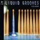 Spectrasonics Liquid Grooves CD 2