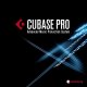 Steinberg Cubase Pro 10.5.0