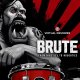 Ujam Virtual Drummer BRUTE v2.1.1