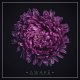 Unmute Awake for Serum