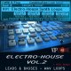 VipZone ElectroHouse Vol.2 - Synth Loops