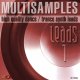 VipZone Multisamples vol.1 - Leads