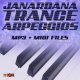 VipZone Trance Arpeggios