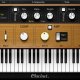 Waves Clavinet Library