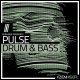 Zenhiser Pulse Drum and Bass